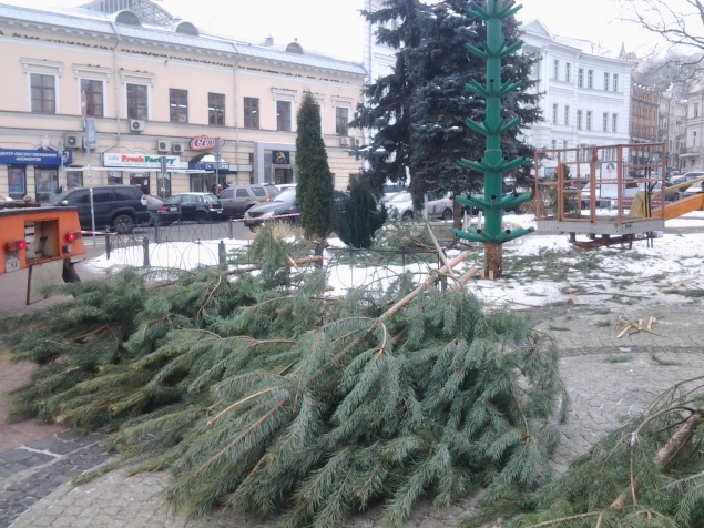 На Контрактовой площади Киева установили елку (ФОТО)