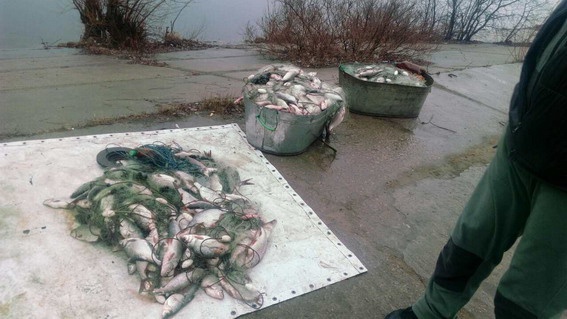 Столичные полицейские поймали с поличным браконьера, выловившего рыбы на 200 тысяч гривен (фото)