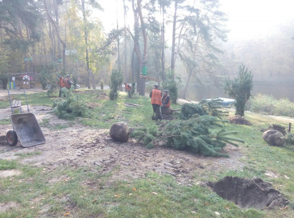 В Голосеевском парке столицы начали высадку необычного лабиринта (фото)