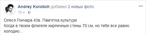 Утеплители изуродовали фасад исторического здания в Киеве (фото)