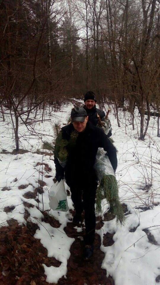 В Дарницком лесничестве Киева предотвращена кража елок