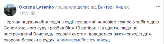 Около Соломенского райсуда Киева топором изрубили 13 машин (фото)