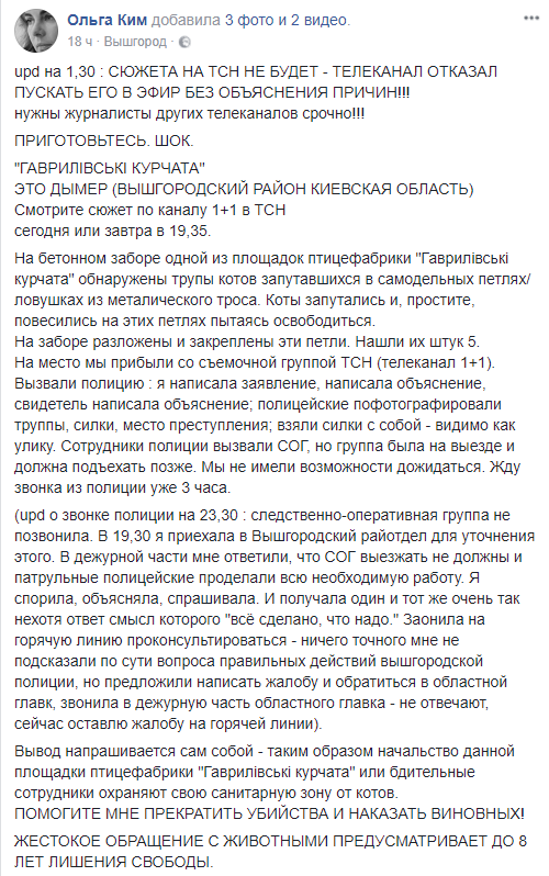 На “Гаврилівських курчатах” в Дымере при помощи силков убивают котов