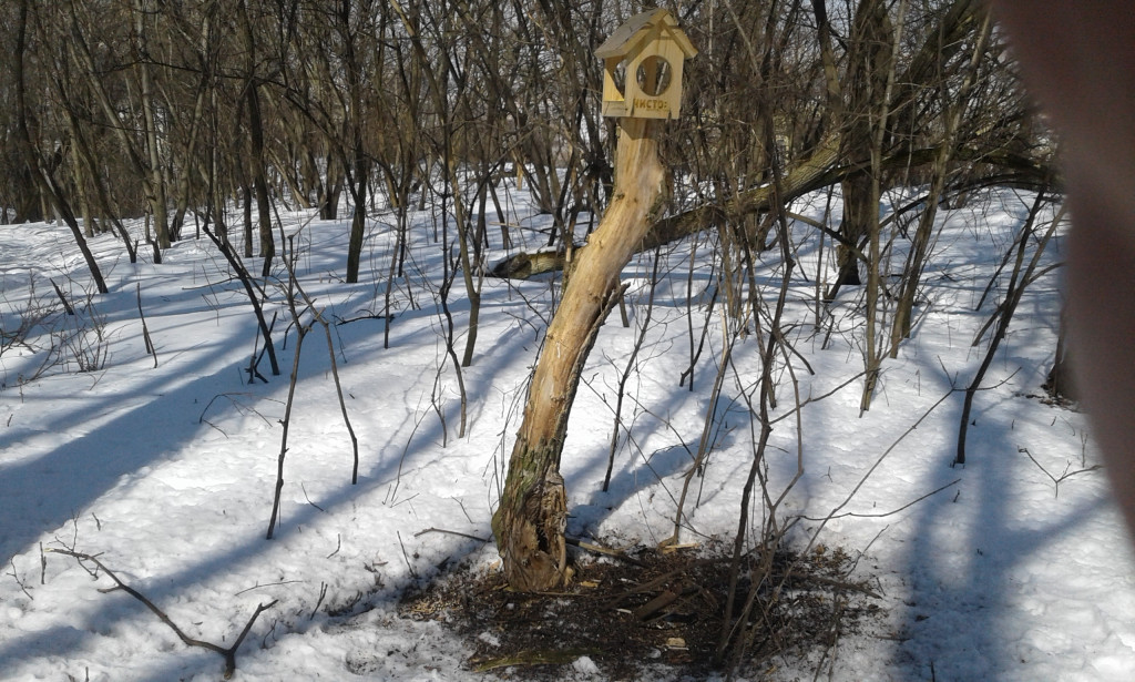 Под донецкие песни на Замковой горе началась самовольная жилая застройка (фото, видео)