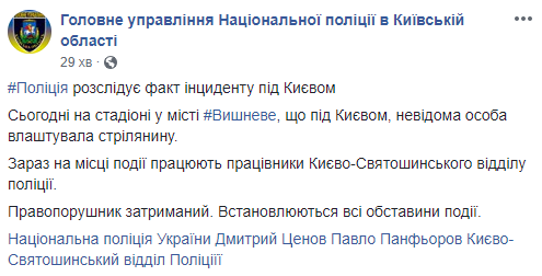 Пьяный помощник нардепа подстрелил ребенка в Вишневом, - СМИ