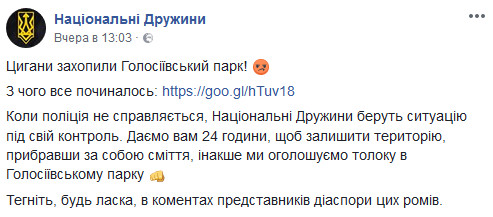 “Национальные дружины” разбирают лагерь ромов в Голосеевском парке