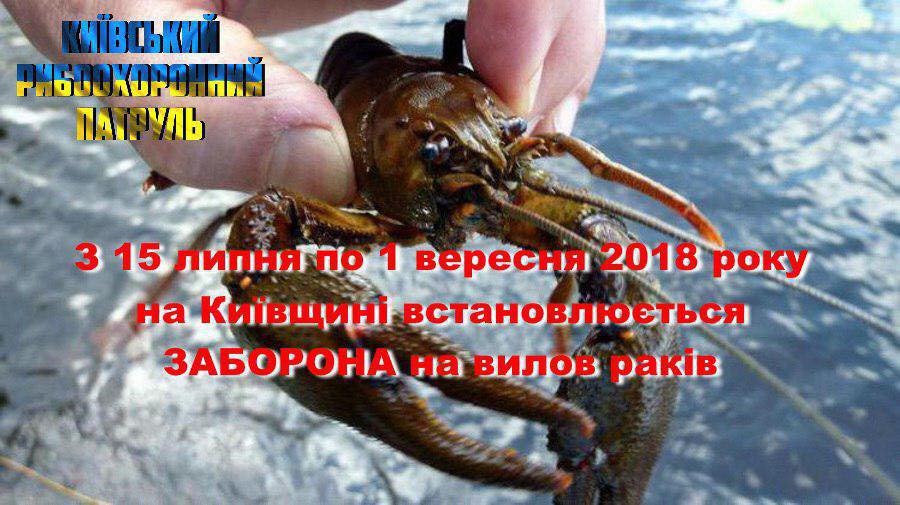 На Киевщине вводят запрет на лов раков