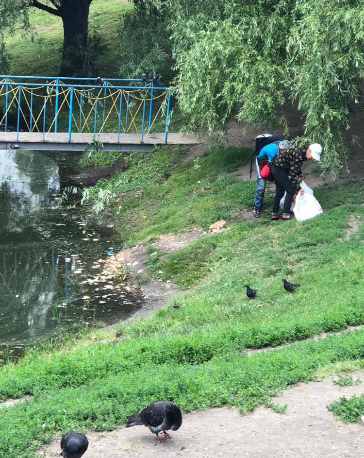 В Киеве на теремковском озере возле церквей массовый мор птиц
