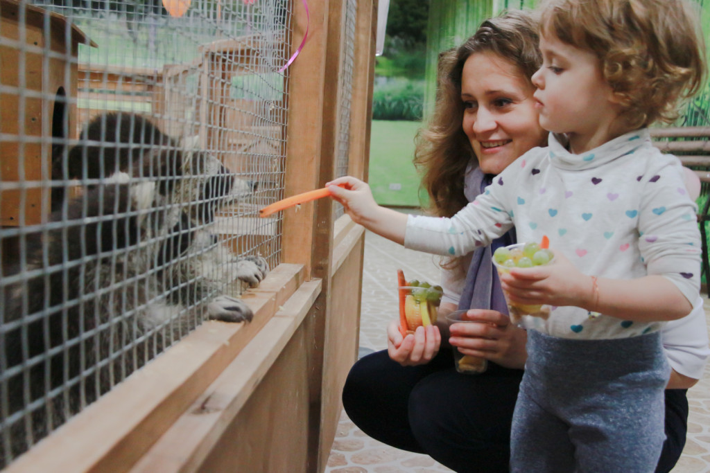 Где в Киеве посетить контактные зоопарки