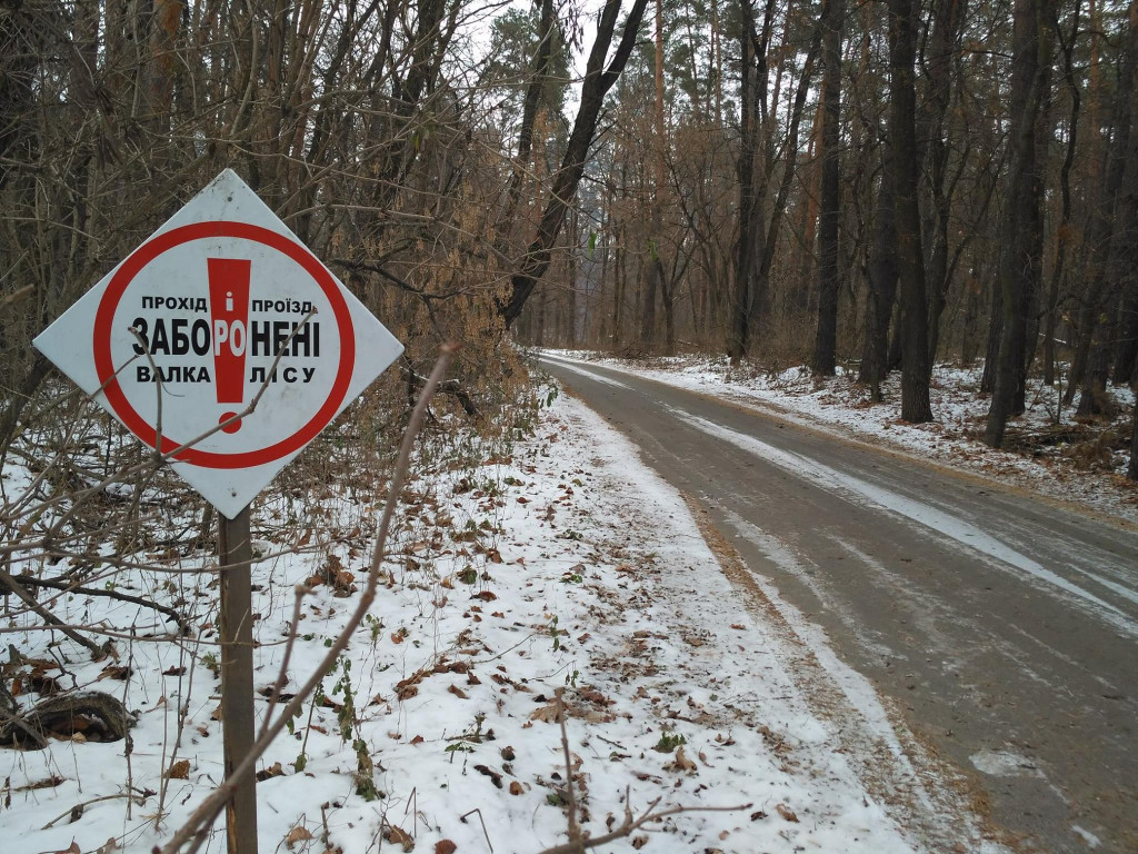 За время президентства Порошенко в национальном парке “Белоозерский” вырублено 200 га леса – экологи (фото)