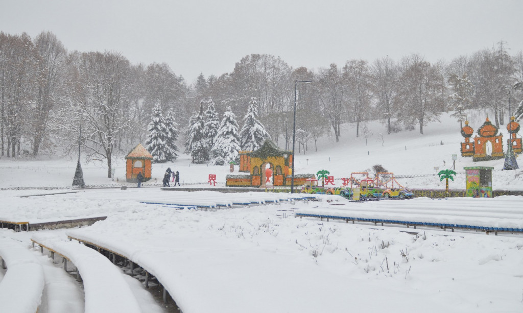 В Киеве проходит первый фестиваль цитрусовых (фото)