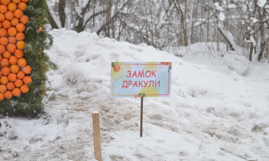 В Киеве проходит первый фестиваль цитрусовых (фото)