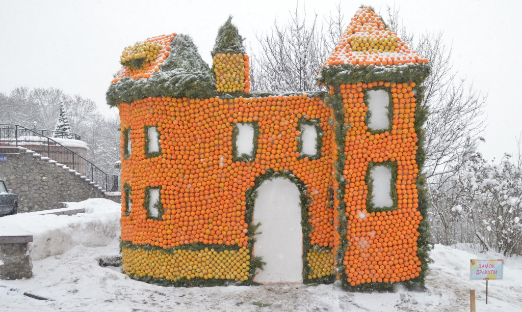 В Киеве проходит первый фестиваль цитрусовых (фото)