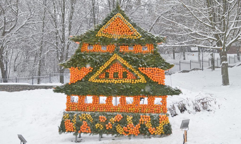 В Киеве проходит первый фестиваль цитрусовых (фото)