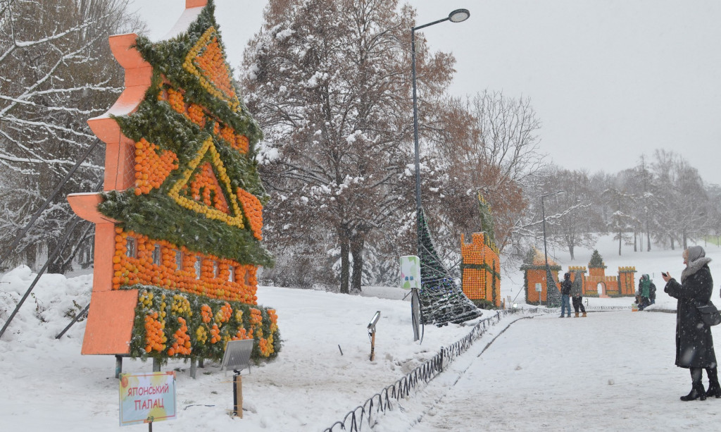 В Киеве проходит первый фестиваль цитрусовых (фото)