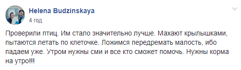 В Борисполе задержана партия щеглов, часть птиц уже погибла