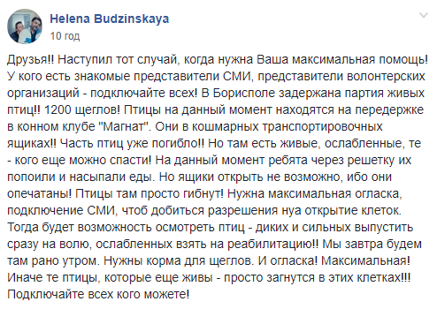 В Борисполе задержана партия щеглов, часть птиц уже погибла