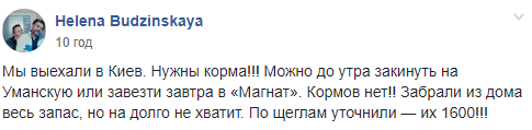 В Борисполе задержана партия щеглов, часть птиц уже погибла