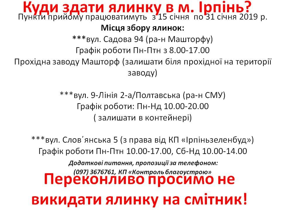 В Ирпене с 15 января заработают пункты приема новогодних елок (адреса)