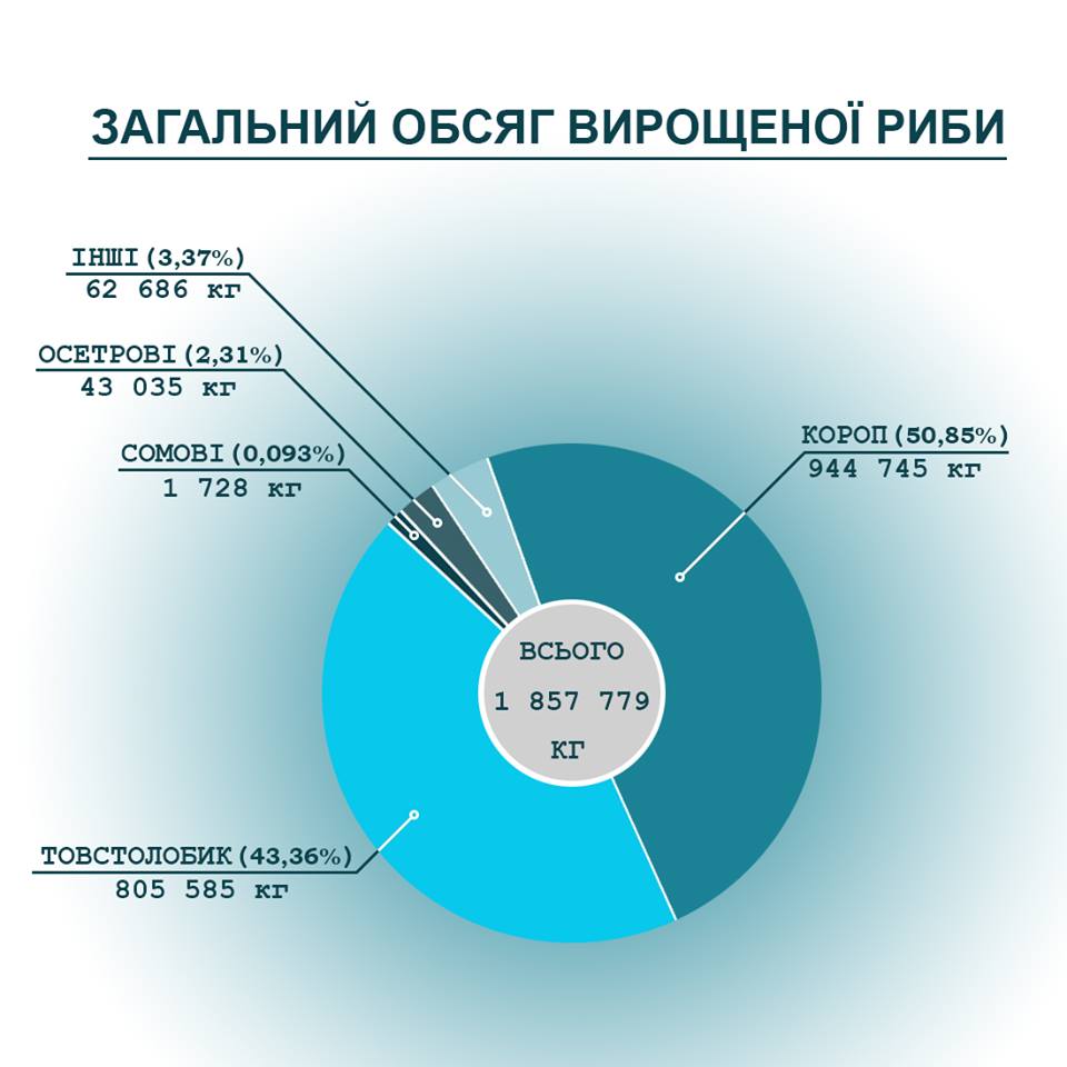 Подавляющее большинство рыбы на Киевщине выращивается в прудах