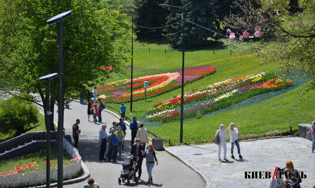 На Певческом поле открылась ежегодная выставка тюльпанов (фото)