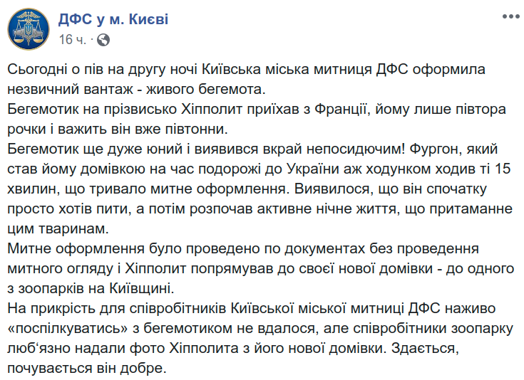 Детеныш бегемота прибыл в один из зоопарков в Киевской области из Франции (фото)