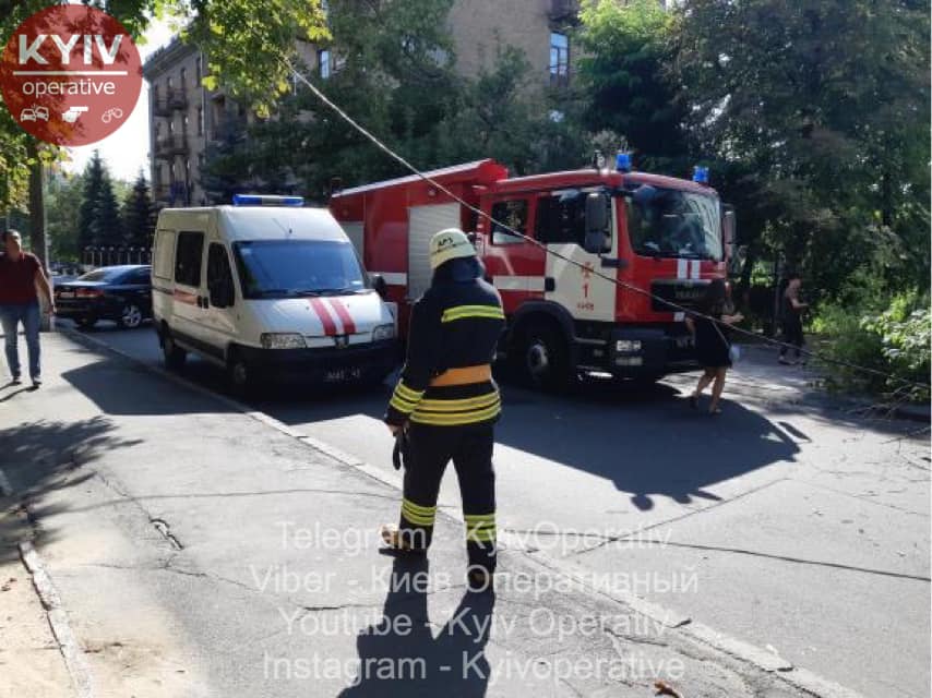 В Киеве на улице Чигорина упало дерево и травмировало женщину (фото)