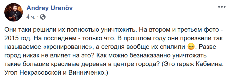 У гаража Кабмина в Киеве спилили ряд высоких многолетних деревьев (фото, видео)