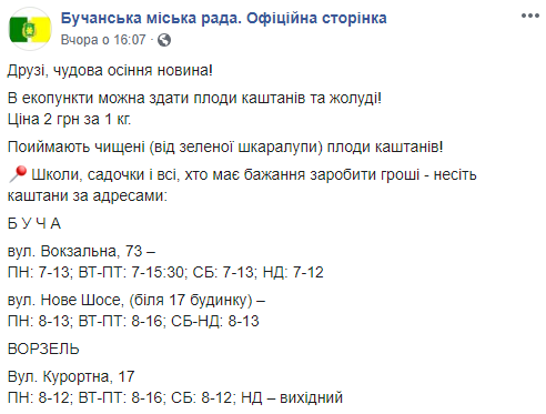 Еще в двух городах Киевщины начали принимать каштаны (адреса пунктов приема)