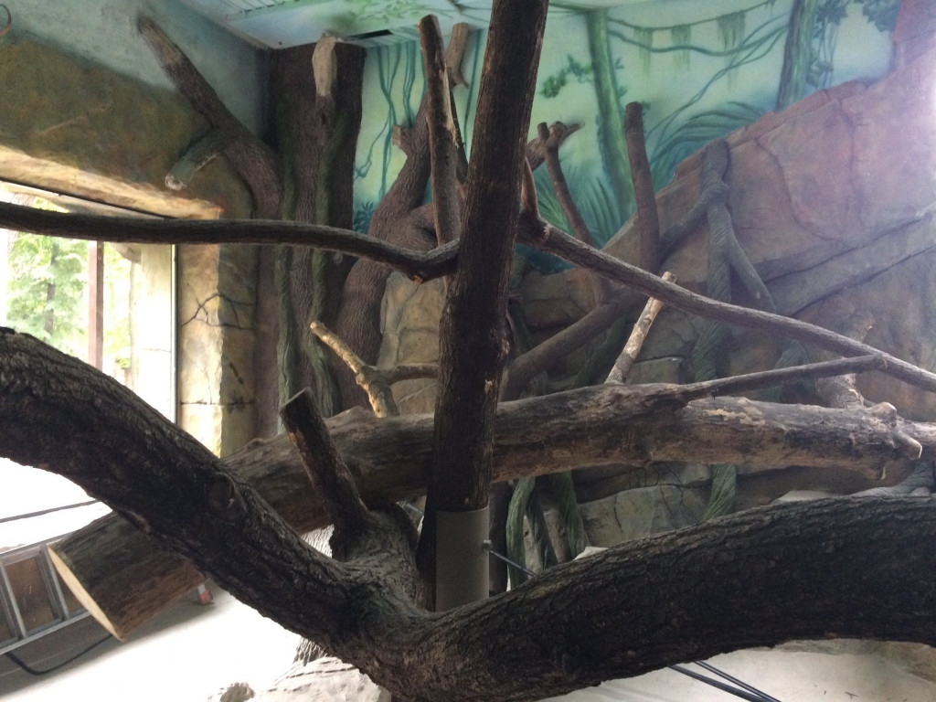 В Киевском зоопарке установлена 15-метровая скульптура жирафа (фото, видео)
