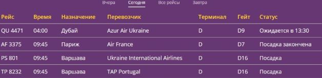 В аэропорту “Борисполь” 319 пассажиров семь часов ожидают вылета в Дубай из-за неисправности самолета