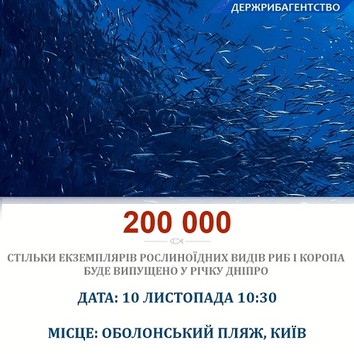 Завтра, 10 ноября, в Киеве проведут масштабное зарыбление Днепра