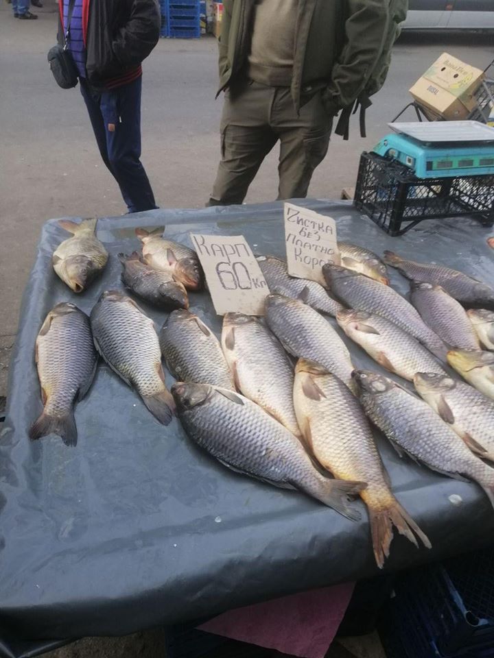 Киевский рыбоохранный патруль отчитался об изъятии более 300 кг рыбы на столичных рынках (фото)