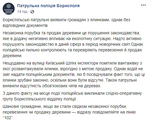 Патрульные задержали в Борисполе на Киевщине елочных браконьеров