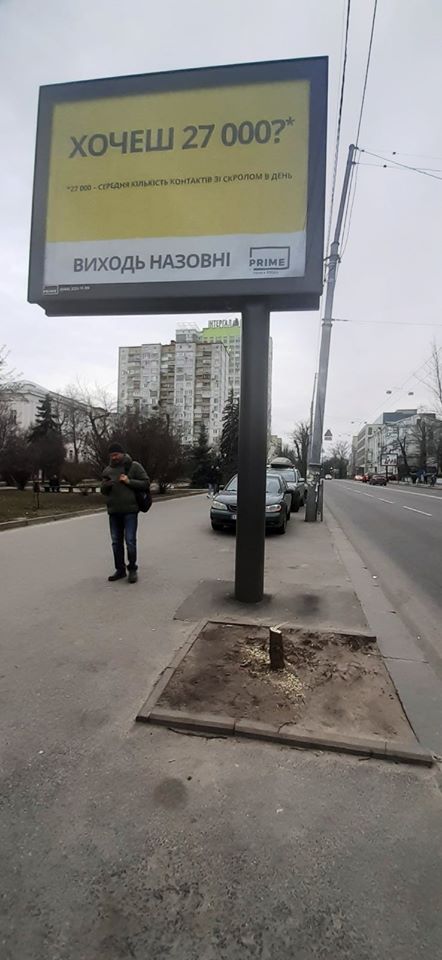 В “Киевзеленстрое” пожаловались на случаи уничтожения деревьев, заграждающих рекламные баннеры (фото, документ)