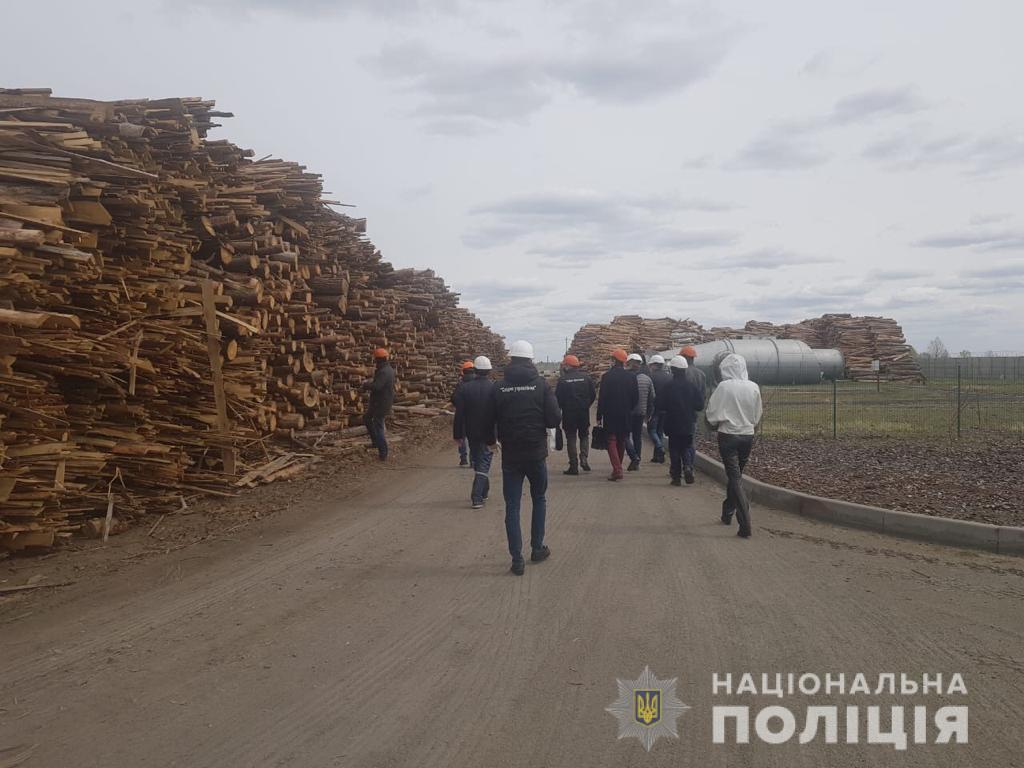 Иванковскую ТЭС подозревают в загрязнении воздуха из-за использования древесины из Чернобыльской зоны (фото)