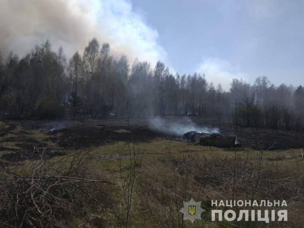 Полиция Киевщины установила мужчину, причастного к масштабному пожару в Бородянском районе (фото, видео)