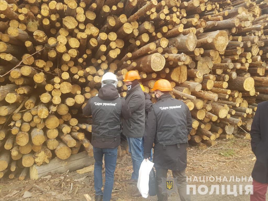 Привіт з Чорнобиля: Іванківську ТЕС підозрюють у спалюванні радіоактивної деревини