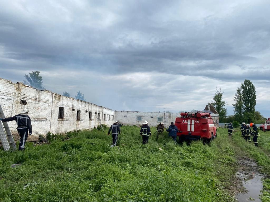 На Киевщине в масштабном пожаре на ферме погибли более 100 свиней (фото)