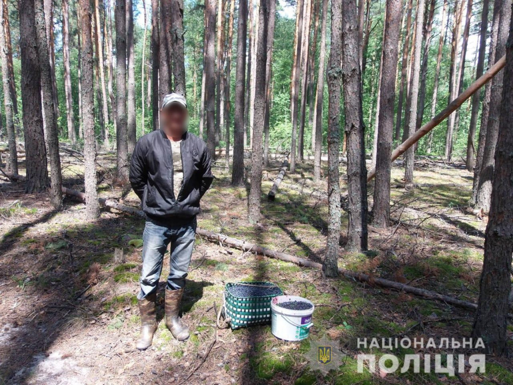 За июль в Зоне отчуждения полиция изъяла у граждан собранные 300 кг радиационных ягод и 20 кг грибов (фото)