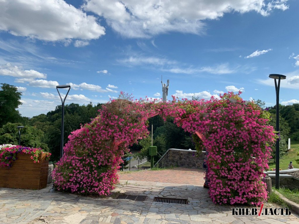 Квіткове сафарі у центрі столиці (фото, відео)