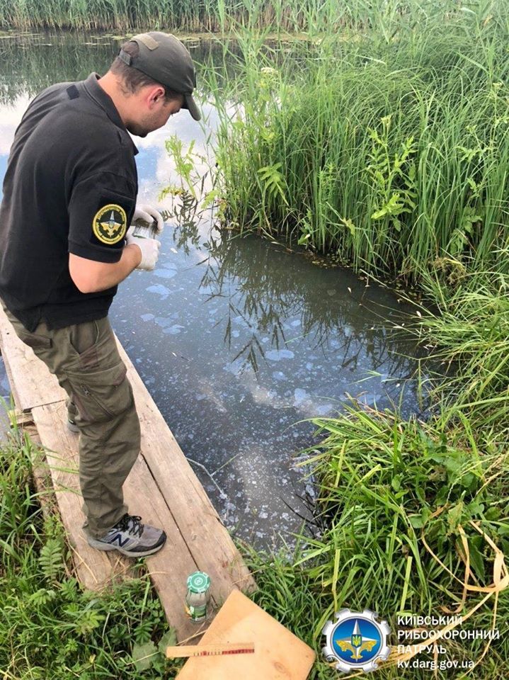 Киевский рыбоохранный патруль обнаружил замор рыбы в реке Здвиж (фото)