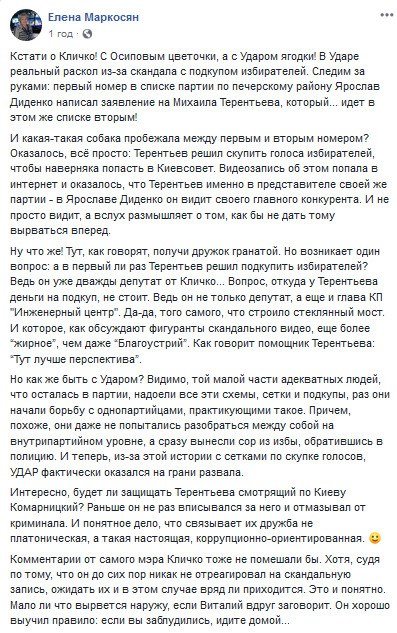 Из-за скандала с подкупом избирателей УДАР оказался на грани развала, - Елена Маркосян