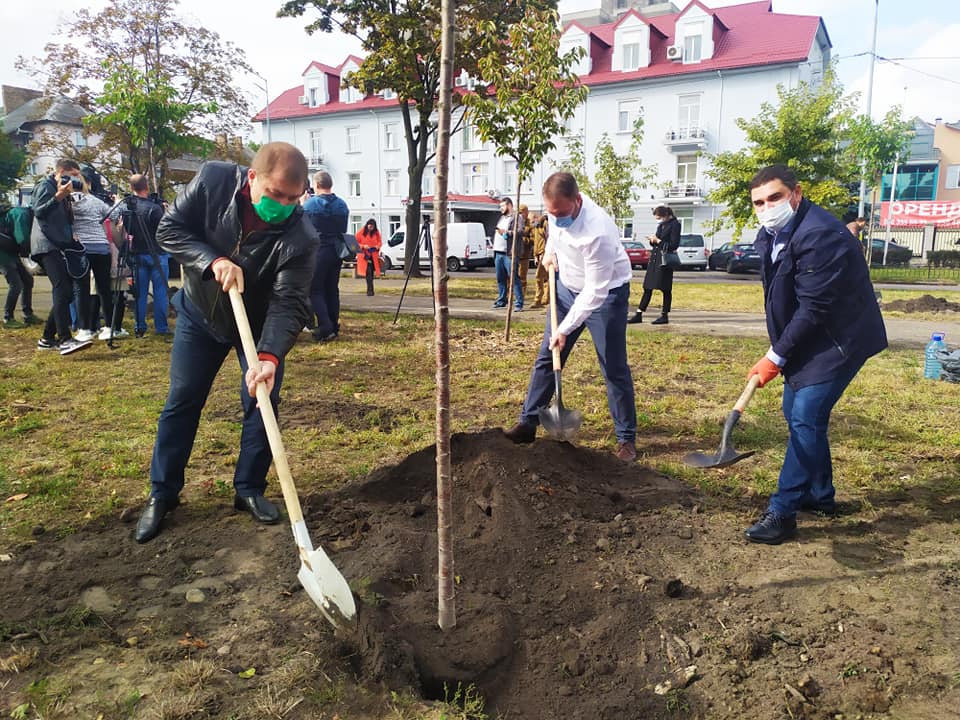 Аллея сакур на бульваре Верховного Совета в Киеве попала в Национальный реестр рекордов Украины (фото)