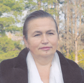 Хочуть до влади: список кандидатів на голову та до ради Дмитрівської ОТГ на місцевих виборах 2020