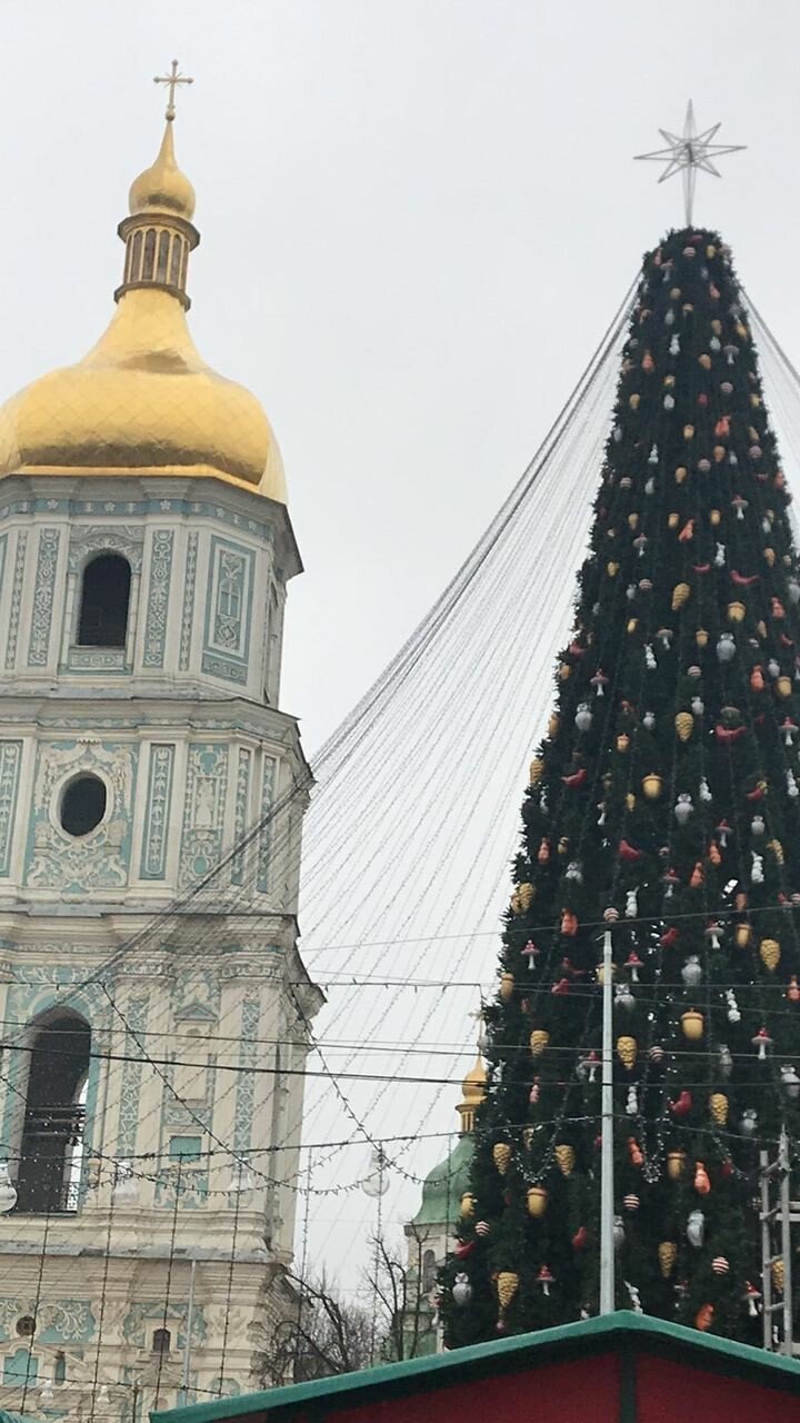 На главную елку страны установили звезду вместо шляпы (фото)