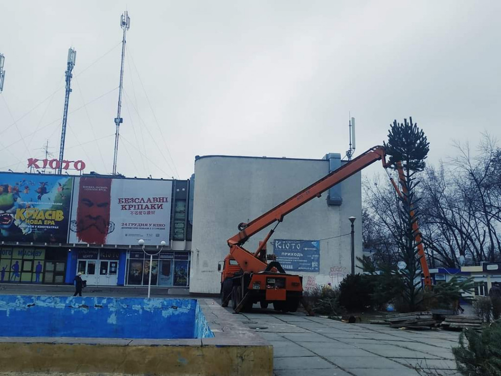 Жители Лесного массива возмущены отсутствием новогодней елки из-за бездействия Деснянской РГА