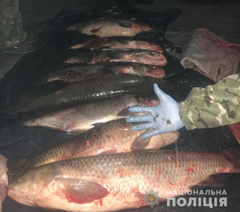 В Зоне отчуждения полиция изъяла из авто госэкологов 150 кг рыбы (фото)