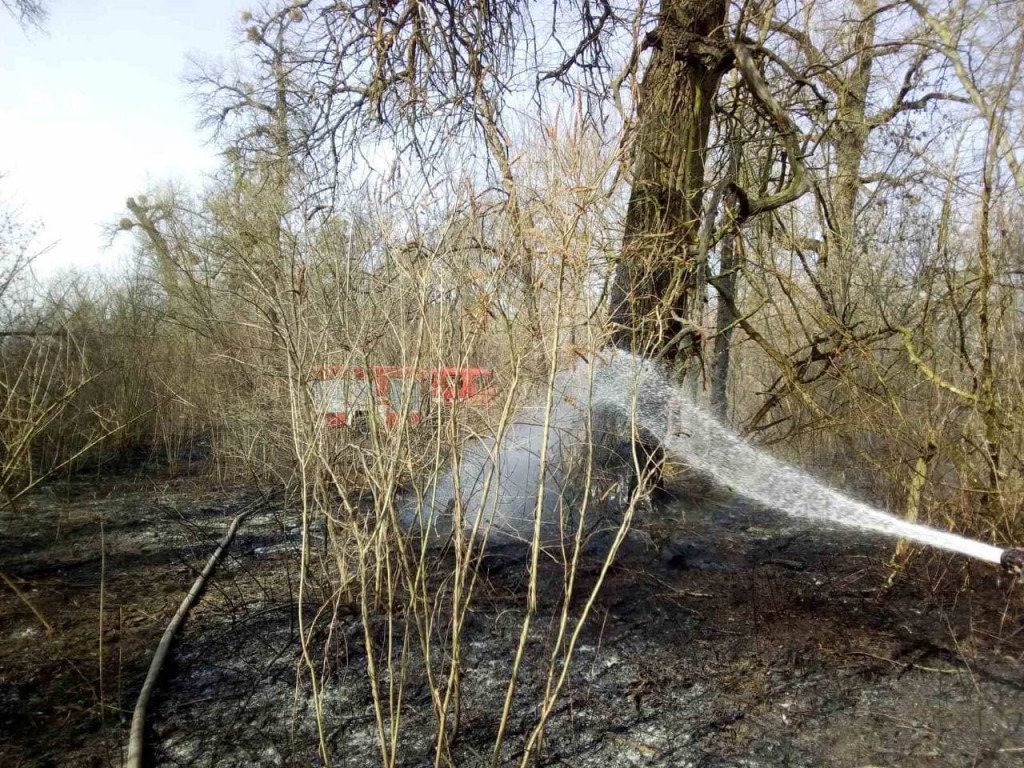 За минувшие сутки столичные бойцы ГСЧС 12 раз ликвидировали пожары на открытой местности (фото)