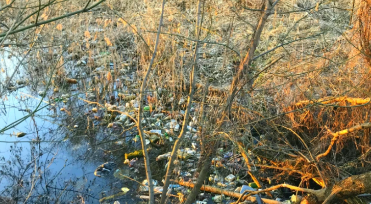 На каскаде Совских прудов создадут инновационный парк и проведут реновацию экосистемы